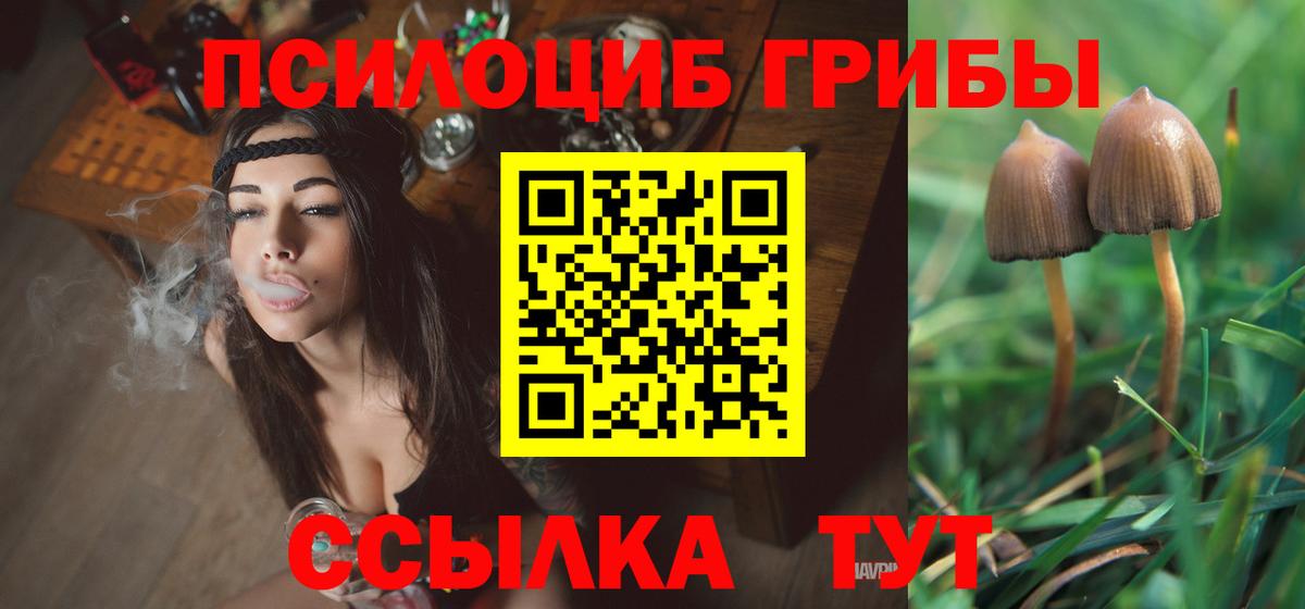 Галлюциногенные грибы Cubensis  Вход с VPN  Галлюциногенные грибы MAGIC MUSHROOMS  Каменск-Шахтинский 