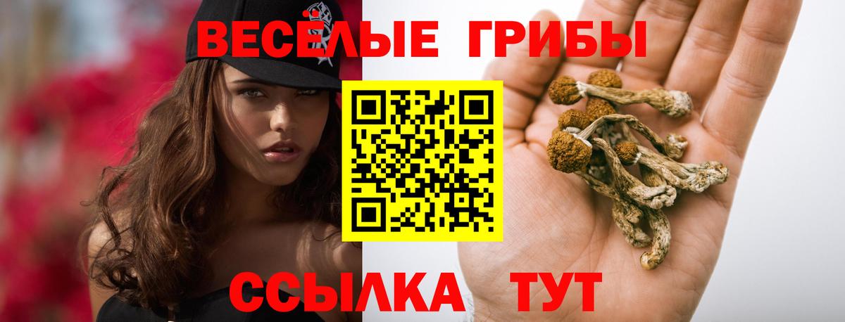 Галлюциногенные грибы прущие грибы Каменск-Шахтинский